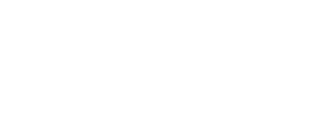 Sirilankan Bite